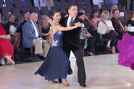 Established Ballroom Dane Terminology